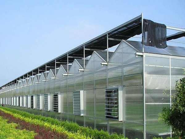 文絡(luò)溫室大棚